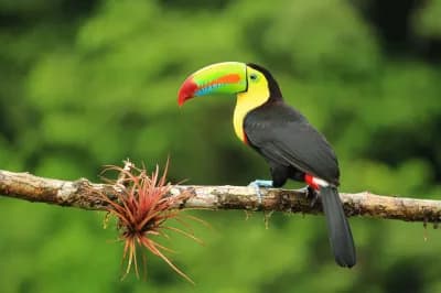 Costa Rica, Pacific Escape
